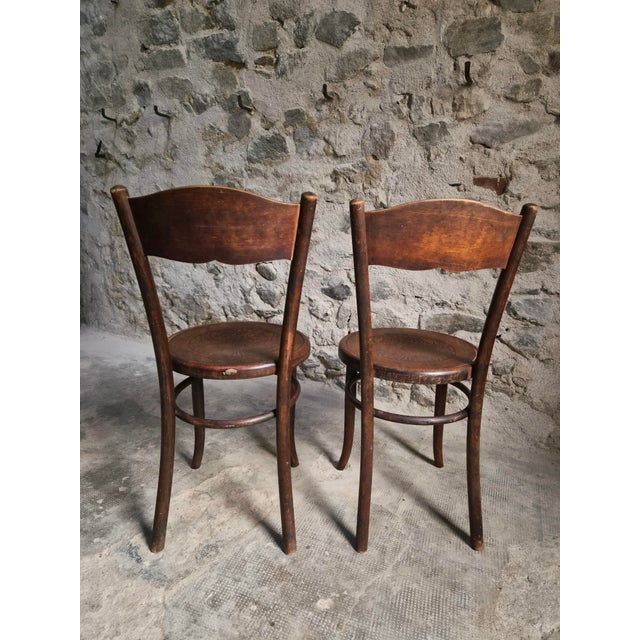 Brown Antique Bistro Chairs in Bentwood by Fischel Austria, 1890s, Set of 2 For Sale - Image 8 of 18