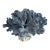 Natural Blue Coral Specimen Coastal Decor For Sale