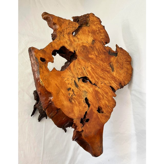 Wood Vintage Live Edge Cypress Root Side Table For Sale - Image 7 of 13