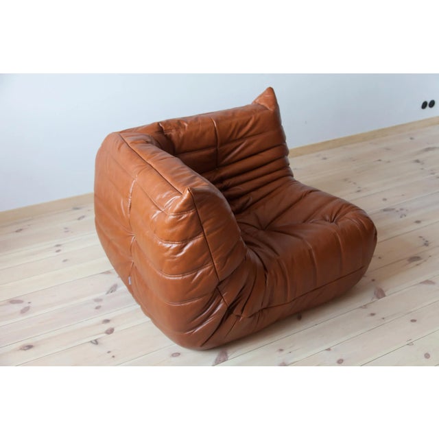 Brown Cognac Brown Leather Togo Living Room by Michel Ducaroy for Ligne Roset, Set of 5 For Sale - Image 8 of 13