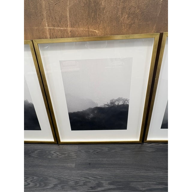 Rh Kate Schermerhorn “Hidden Detail” Art Collection – Complete Set of 4 For Sale - Image 14 of 18