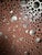 Contemporary Brown Walls of Holes by Michael Sirvet (2013) For Sale - Image 3 of 4