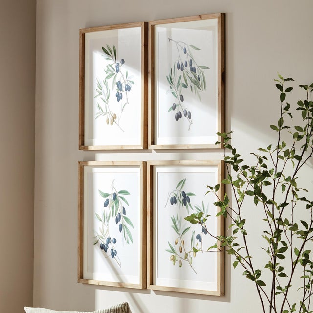 Contemporary Olive Stems Study, Set Of 4 For Sale - Image 3 of 4