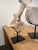 Vintage Whale Vertebrae Bones, Set of Three. For Sale - Image 4 of 8