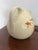 A generously scaled vintage Hall China pitcher in the iconic Jewel Tea Autumn Leaf pattern. The softly ribbed ivory...