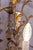 Mid 20th Century Mid 20th Century French Gilt Metal Maison Charles Inspired Five-Light Chandelier with Foliage For Sale - Image 5 of 11