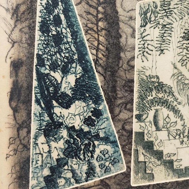 Green Ignacio V. De Araujo, Gardens, Color Engraving on Paper, Framed For Sale - Image 8 of 9