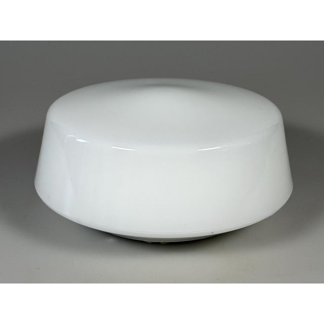 Mid-Century Ceiling Light in Frosted Glass from RZB, 1960s For Sale - Image 6 of 15