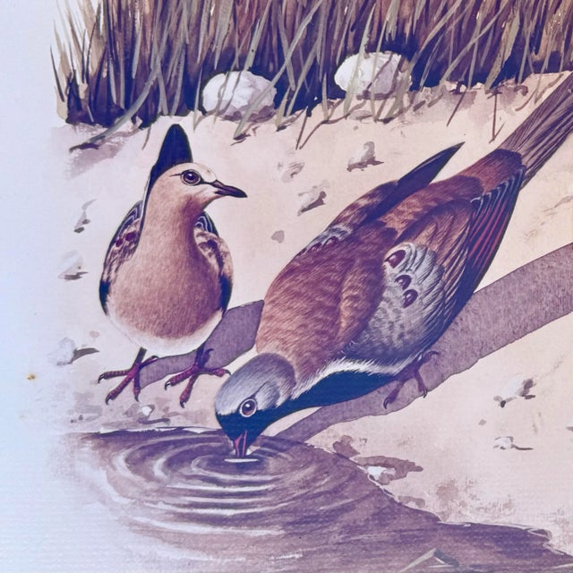 Illustration Vintage M. Khaleghi Avian Birds Watercolor Print, Signed & Framed Original l.e. Art For Sale - Image 3 of 9