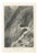 After Myles Birket Foster, Bridge of Gondo, Simplon Pass, 1878, Engraving For Sale