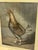 Antique Pair of English Game Bird Sporting Hand Colored Engravings in Ebonized Frames For Sale - Image 17 of 18