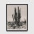This vintage cactus print originally printed in Germany in 1910 shows a giant Saugaro from the Sonoran desert in Tucson....