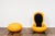 Garden Egg Chairs by Peter Ghyczy, 1968, Set of 2 For Sale - Image 10 of 18