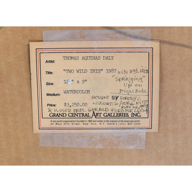 Original Vintage Thomas Daly Iris Flower Watercolor Painting For Sale - Image 10 of 13