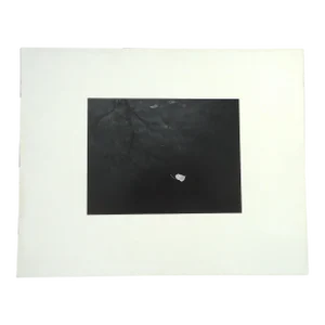 1961 Dean W Hand "Cottonwood Leaf on Pond" Photograph