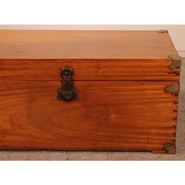 Camphor Wood Campaign Chest For Sale - Image 3 of 15