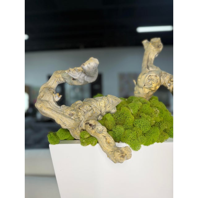 Contemporary Botanical Mix Floor Arrangement For Sale - Image 3 of 7