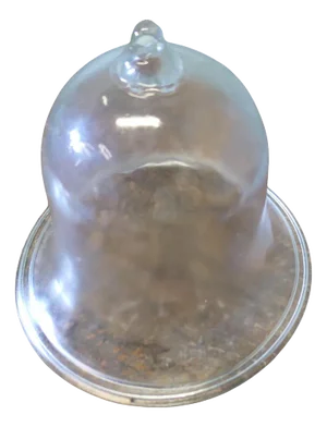 Glass Bell Cloche in Glass