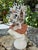 Christa's South Seashells 7" H. CSS Seashell Bust of Apollo For Sale - Image 4 of 7