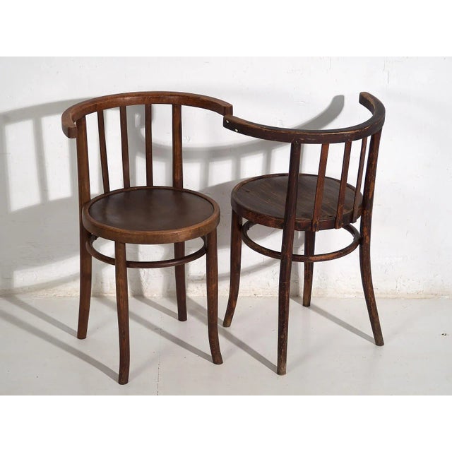Vintage Bentwood Chairs, 1920, Set of 4 For Sale - Image 4 of 10