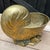 Coastal Mid Century Brass Patina Nautilus Shell Planter For Sale - Image 4 of 7