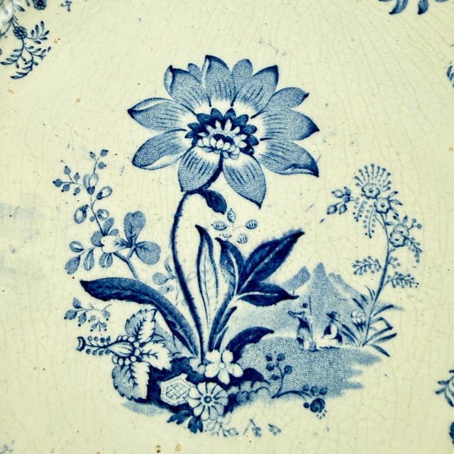 Elkin & Newbon English Botanical Beauties Dinner Plates, Set of Eight For Sale - Image 9 of 15
