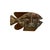 Late 20th Century Fish Sculpture Large Hand Carved Figurine Wood Vintage Coastal Decor For Sale - Image 4 of 7