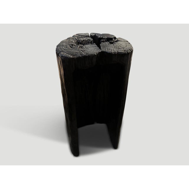 Brown Andrianna Shamaris Century Year Old Bench or Pedestal For Sale - Image 8 of 18