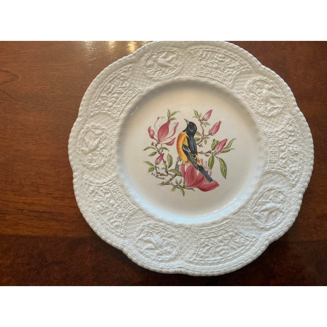 Cream Set of 8 Royal Cauldon Dinner Plates “Aviary” Pattern Bristol Ironstone For Sale - Image 8 of 9