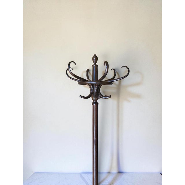 Parrot Coat Rack by Michael Thonet for Thonet, 1950s For Sale - Image 3 of 10