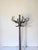 Parrot Coat Rack by Michael Thonet for Thonet, 1950s For Sale - Image 3 of 10