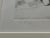 Printmaking Materials Marino Marini Original Etching, Rare Edition of Only 20. Signed, Framed, Numbered Xiv/Xx For Sale - Image 7 of 11