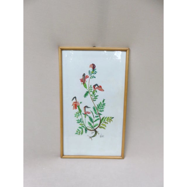 Flowers Watercolor by W. Kratz, 1950s, Set of 4 For Sale - Image 10 of 18