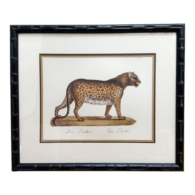 Vintage Framed "Der Panther" Lithograph Style Print in Black Faux Bamboo Frame For Sale