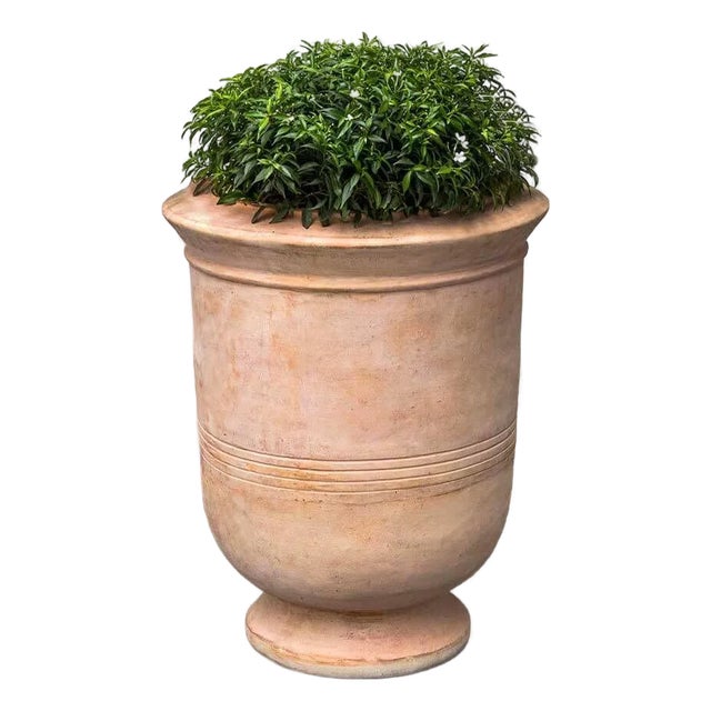 Vaucluse Urn Terra Cotta Planter For Sale