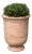 Vaucluse Urn Terra Cotta Planter For Sale