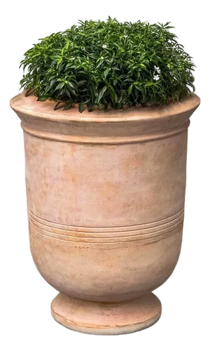 Vaucluse Urn Terra Cotta Planter