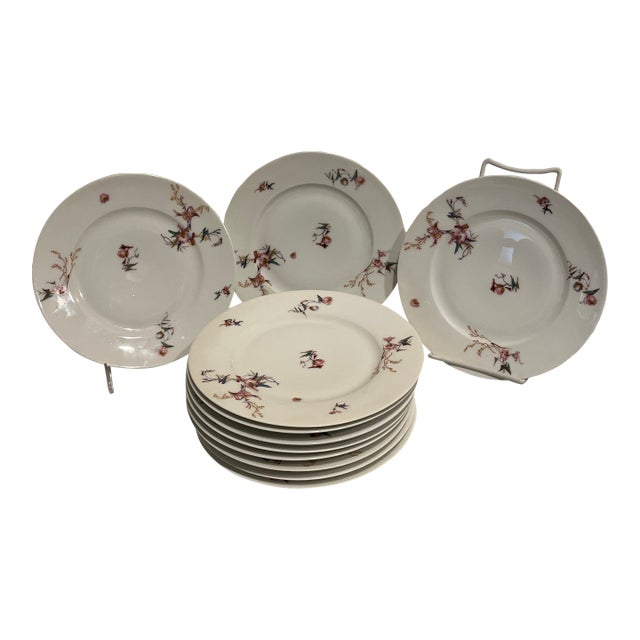 1900s Luncheon Plate With Haviland Pattern H1252. Set Includes 11 Pieces. For Sale