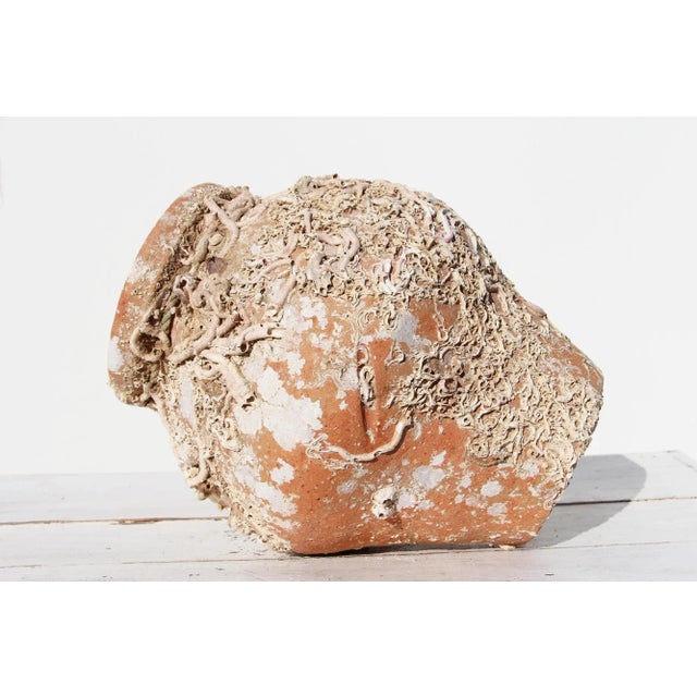 19th Century Antique Terracotta Octopus Trap Undersea Pot For Sale - Image 11 of 13