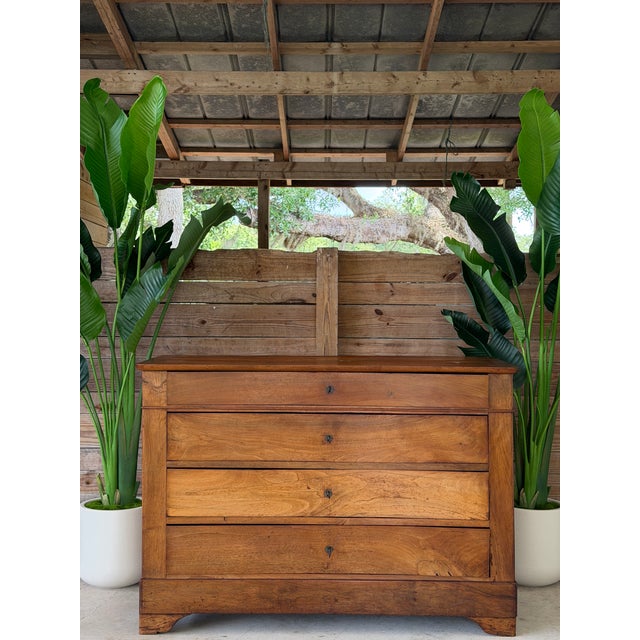 Early 19th Century American Walnut Empire Chest of Drawers For Sale - Image 11 of 12