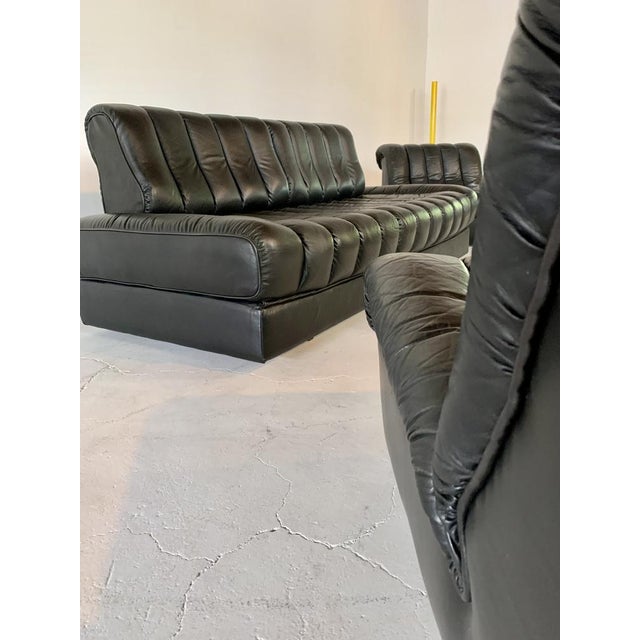 Animal Skin DS 85 Living Room Set from de Sede, Set of 3 For Sale - Image 7 of 11