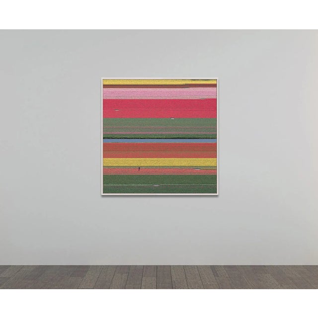 Edition Aerial Views Bernhard Lang Image: AV_Tulip_Fileds_036 Size B: 39,3 x 39,3 inches, 100 x 100 cm Captured in 2016 in...