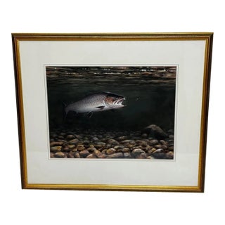 Majestic Fishing Painting Sea Trout Nearly Hooked the Zulu Silver Fly by Roger McPhail C2003, Framed For Sale