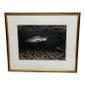 Shop Cheshire Antiques Consultant LTD