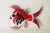 1950s Mid-Century Red Fish with Aquamarine Eye Wall Light, 1950s For Sale - Image 5 of 14