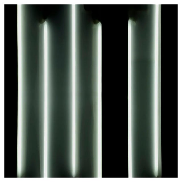 Michael Banks, Dan 2, Pigment Print, 2011 For Sale