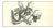 Paul Gervais, The Squirrel, Lithograph, 1854 For Sale