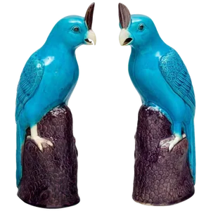 Chinese Turquoise Cockatoos - a Pair