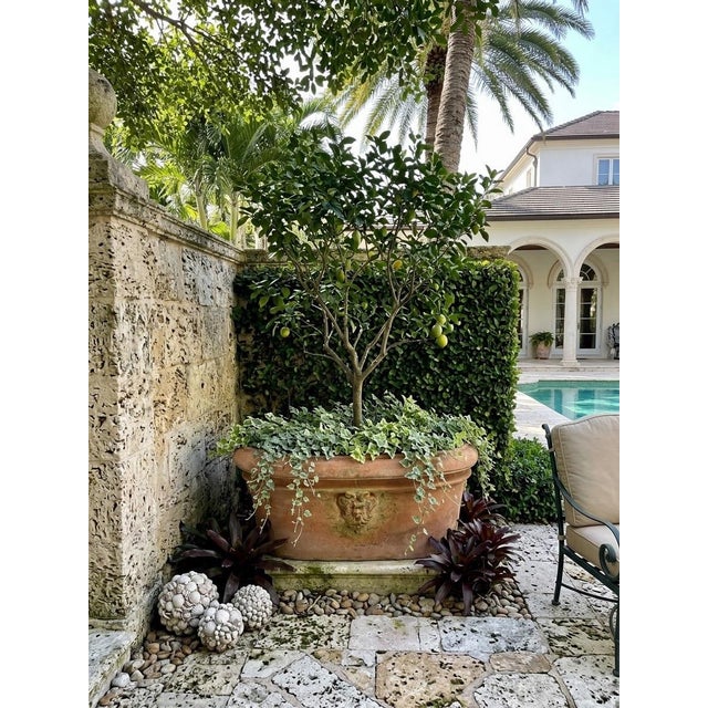 Vintage Italian Tuscan Style Terracotta Oval Planter Trough With Mascaron Relief For Sale - Image 12 of 12