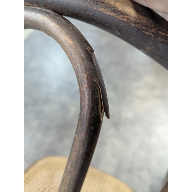 Brown Dining Chairs from Thonet, Set of 4 For Sale - Image 8 of 9